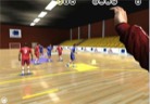 Handball software view from goalkeeper