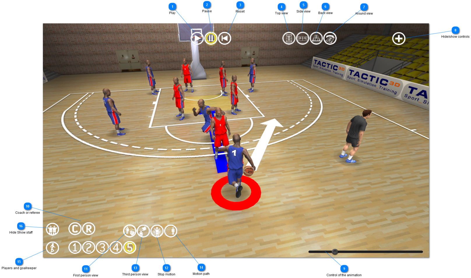 Viewer3D basketball