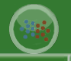 32. Scrum